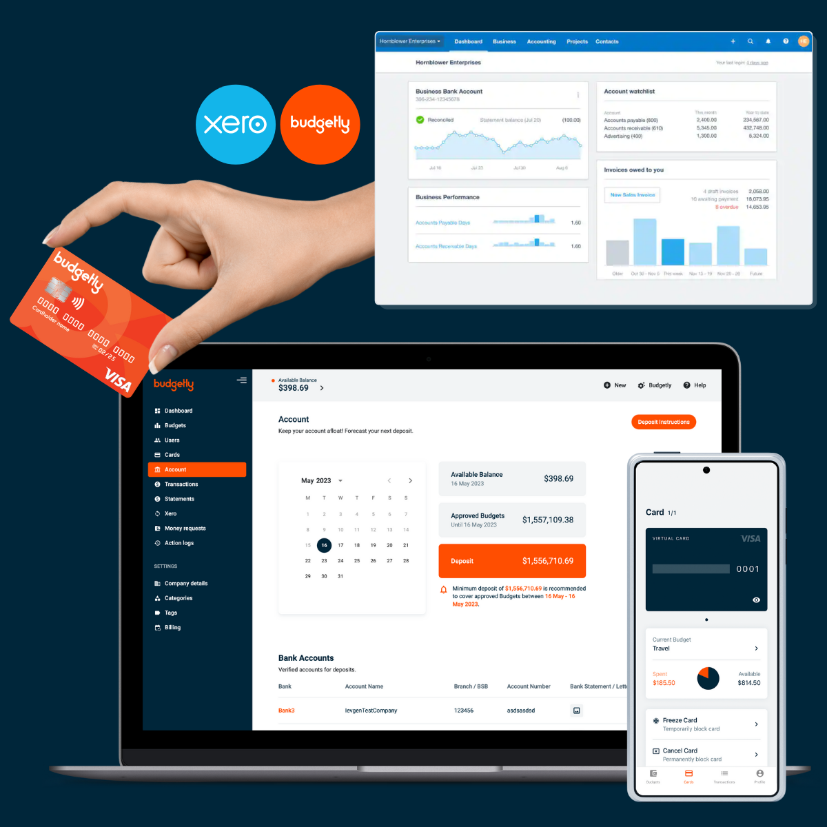 Xero & Budgetly